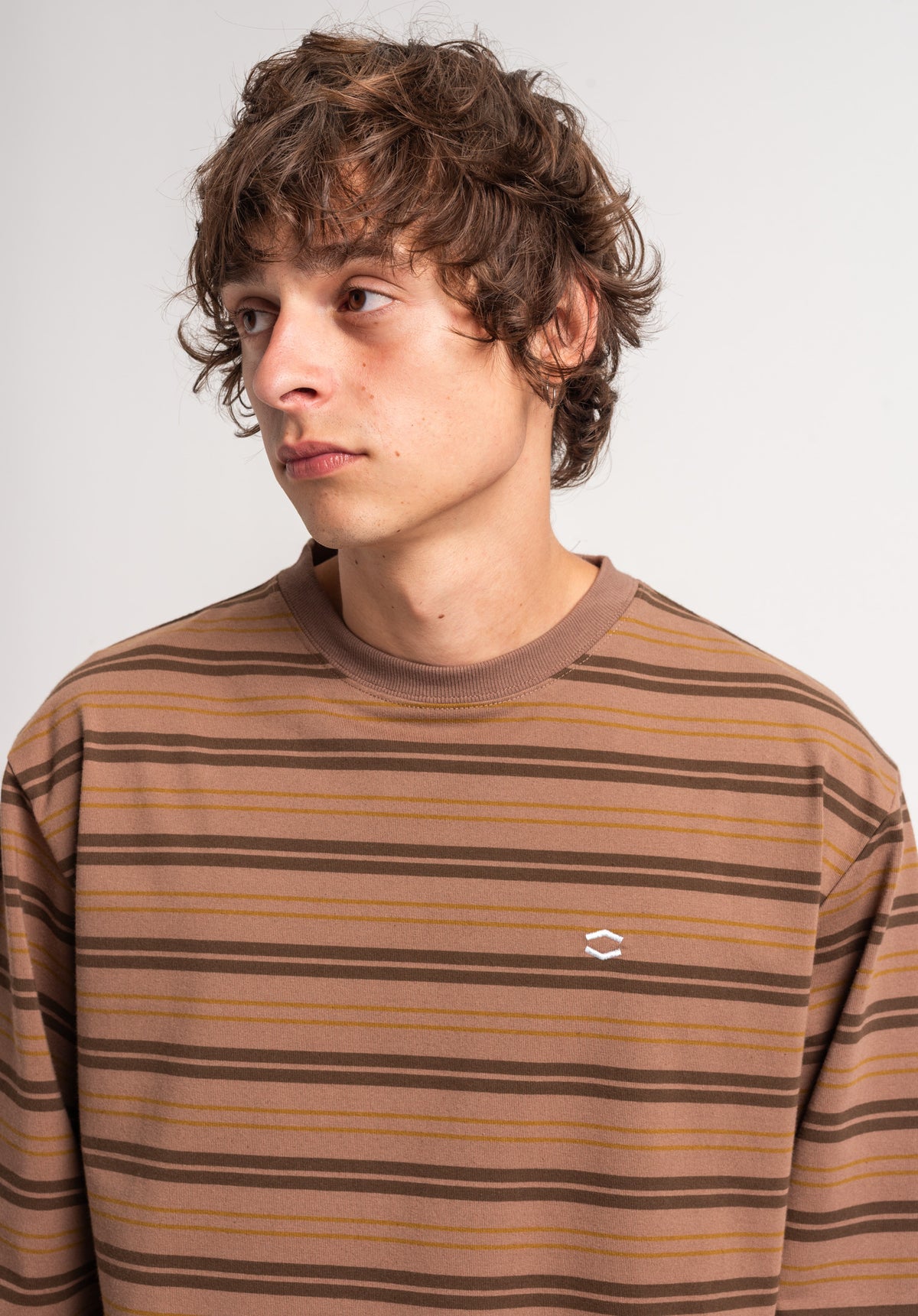 TITUS Icon Stripes Longsleeve darkbrown-striped – Back view