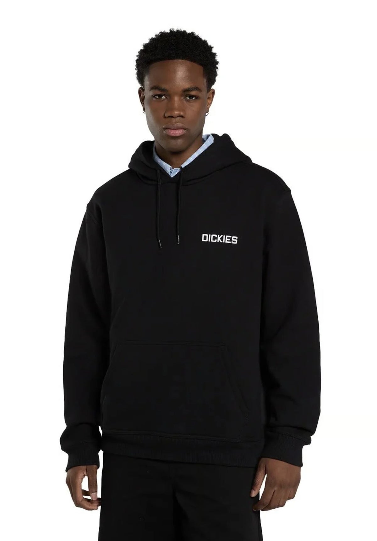 Dickies Payson Hoodie black – Set bagfra