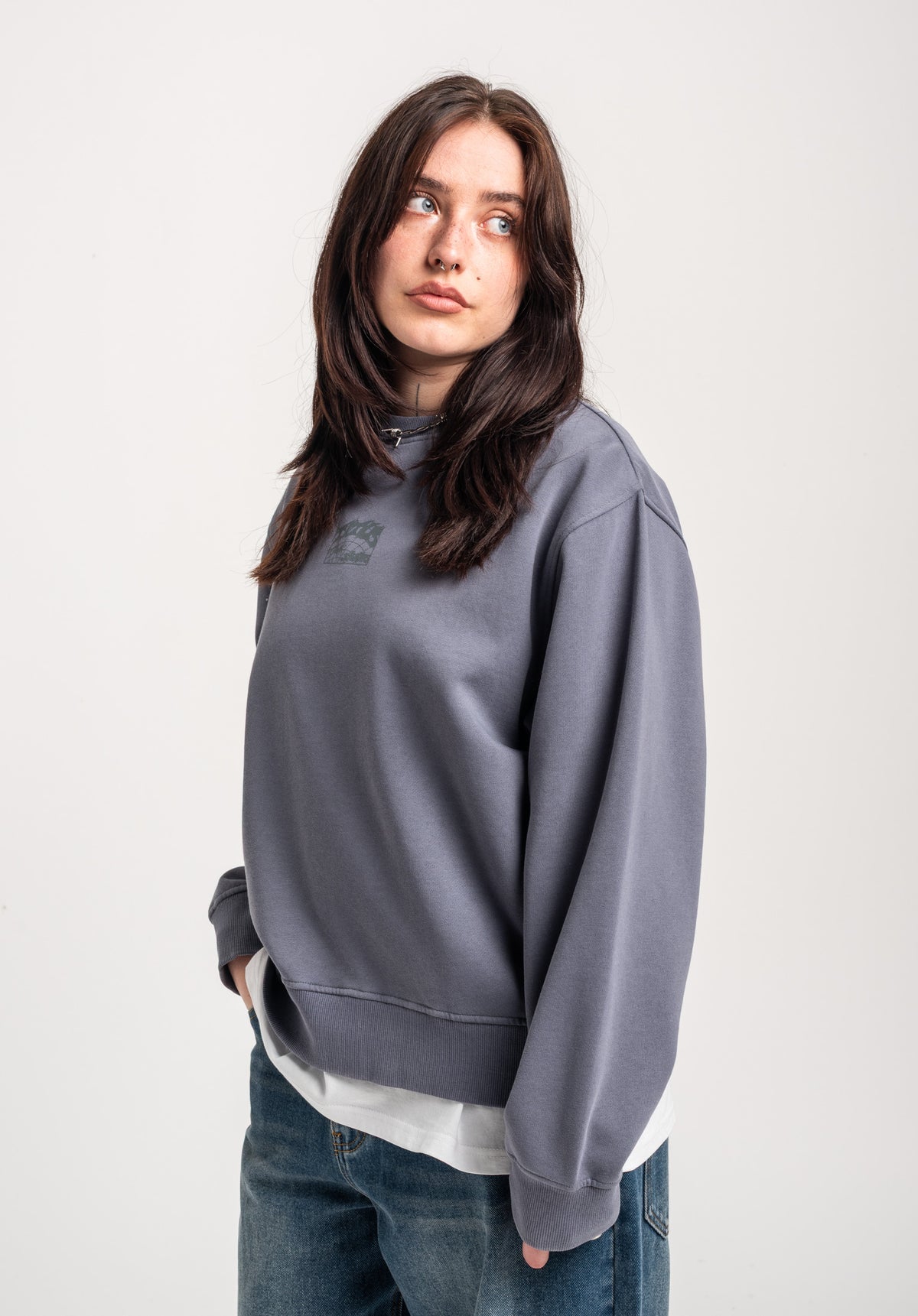 TITUS W Heritage Clean Sweatshirt greybluefaded – Top view