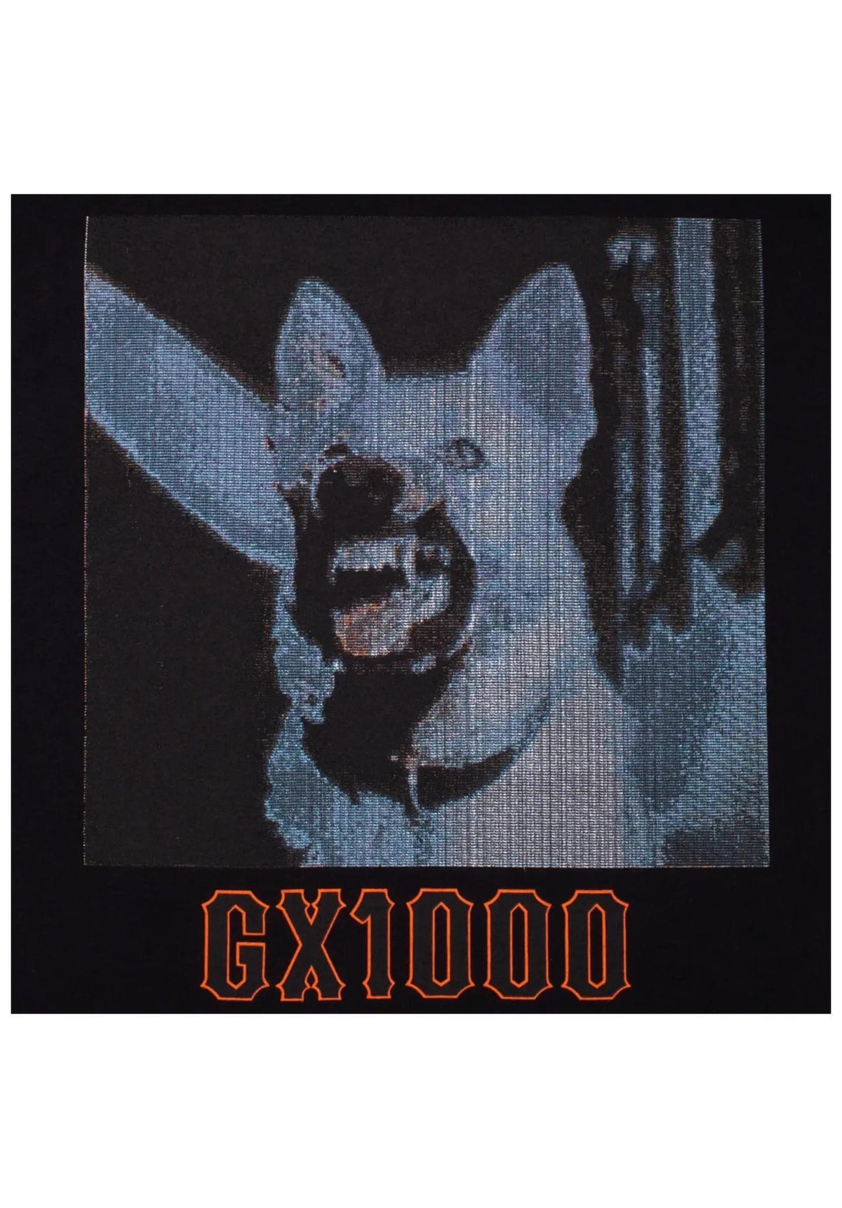 GX1000 Outlaw T-Shirt black – Set bagfra