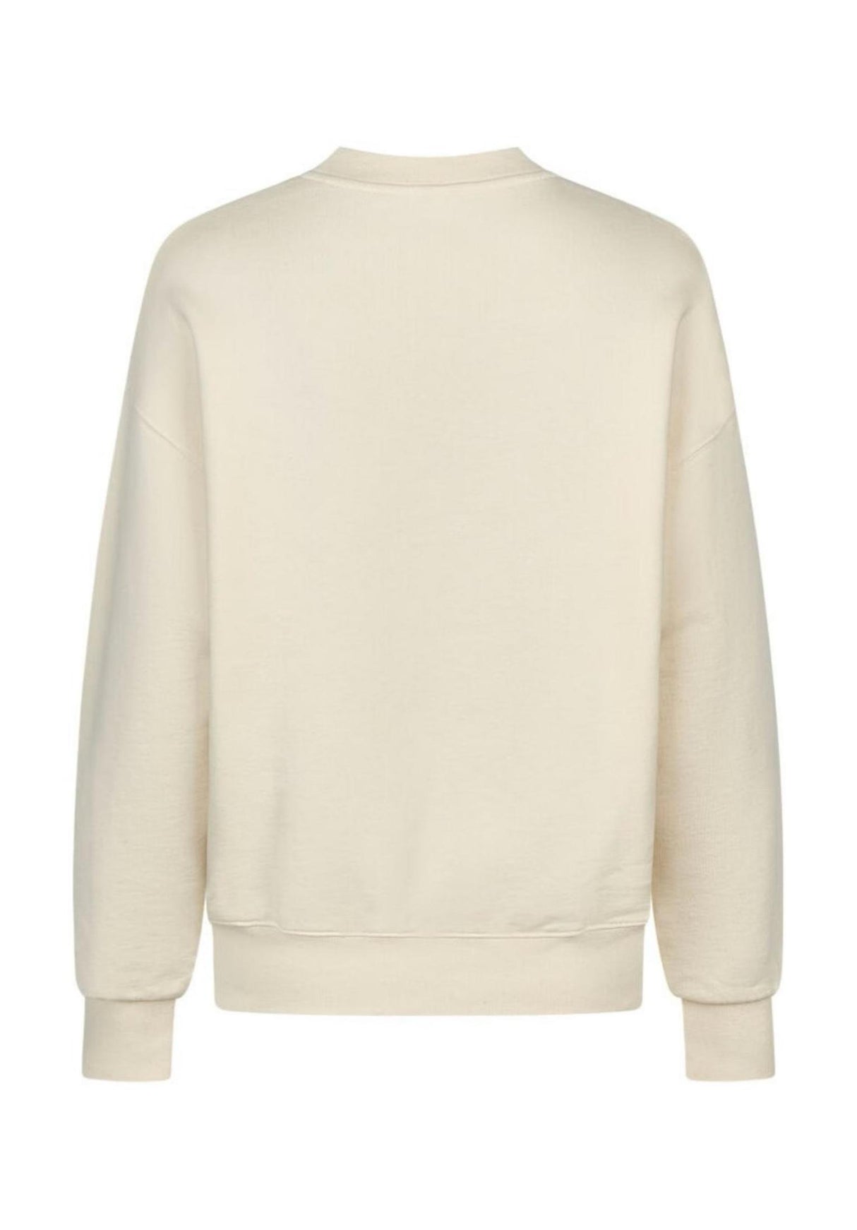 iriedaily Daily Plaisir Crew Jersey undyed – Vista trasera
