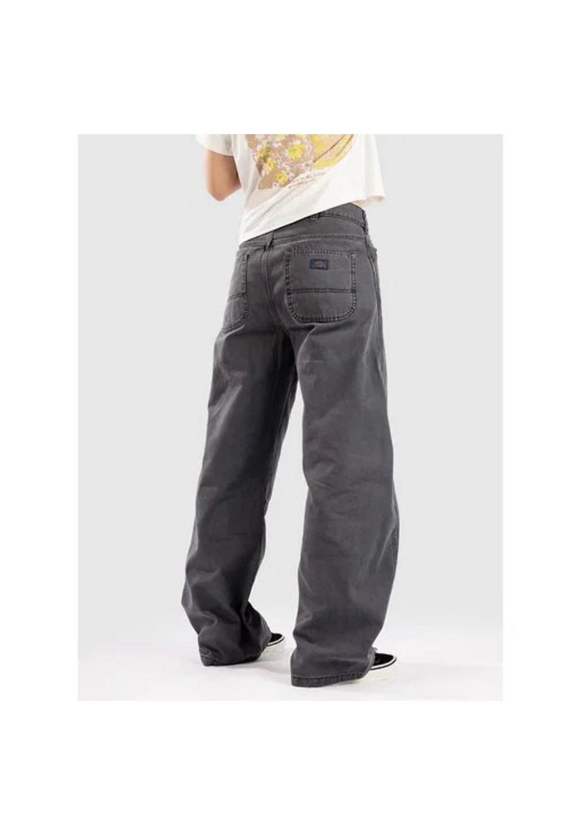 Dickies Imlay Low Waist Barrel Canvas Chino- / Cloth pants deepdepths – Back view