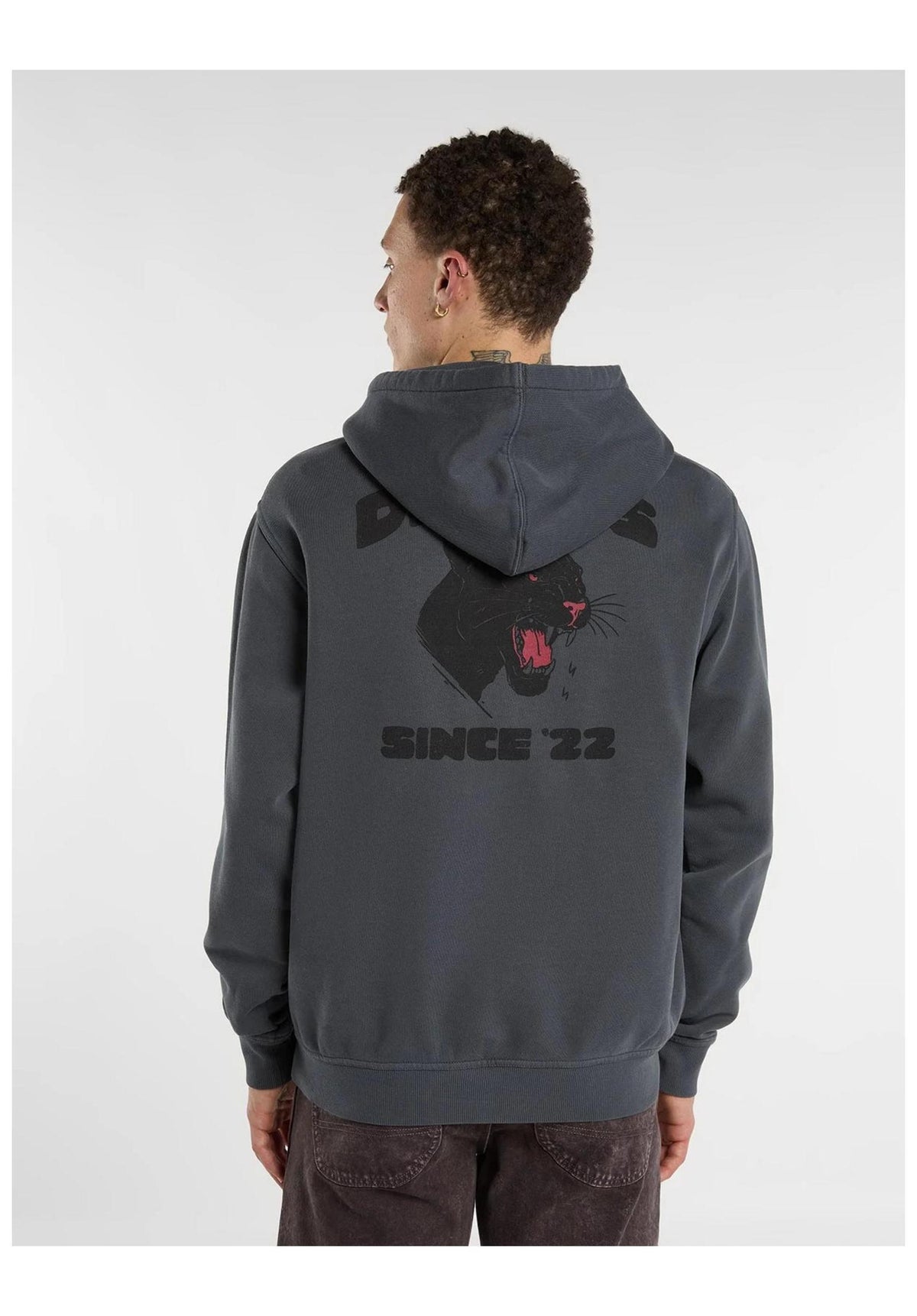 Dickies Mcdermitt Hoodie charcoal – Back view