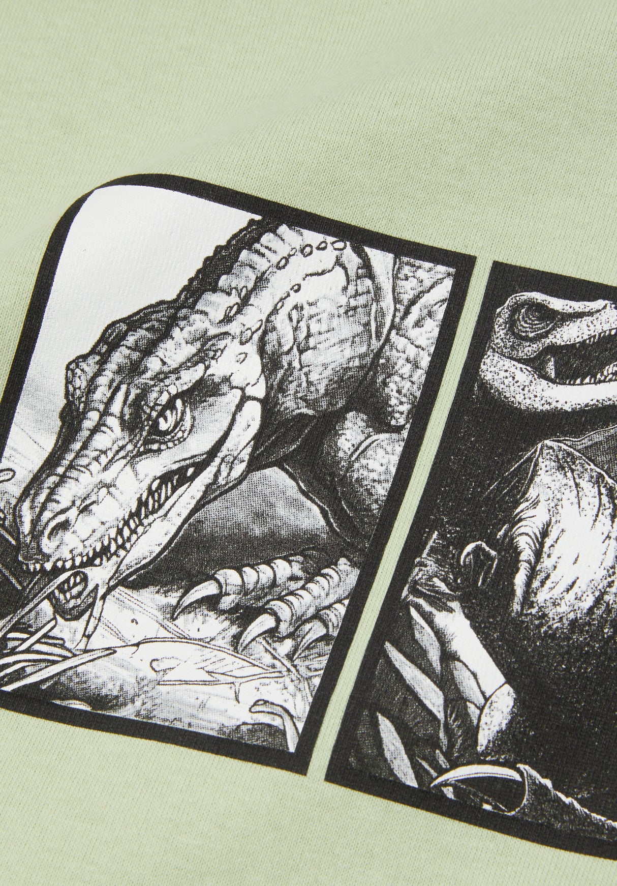 Fossil Fuel cucumber Closeup1