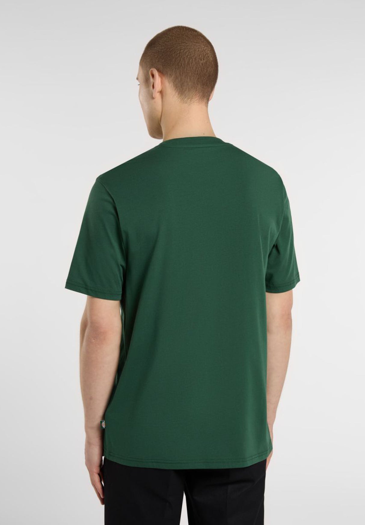 Mapleton pineneedlegreen Rueckenansicht