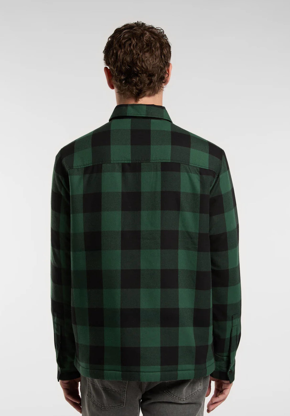 Lined Sacramento pineneedlegreen Rueckenansicht