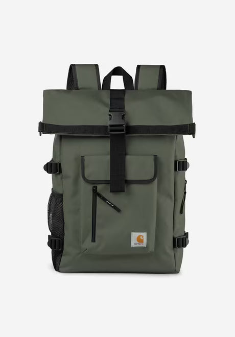 Philis opuntia Vorderansicht