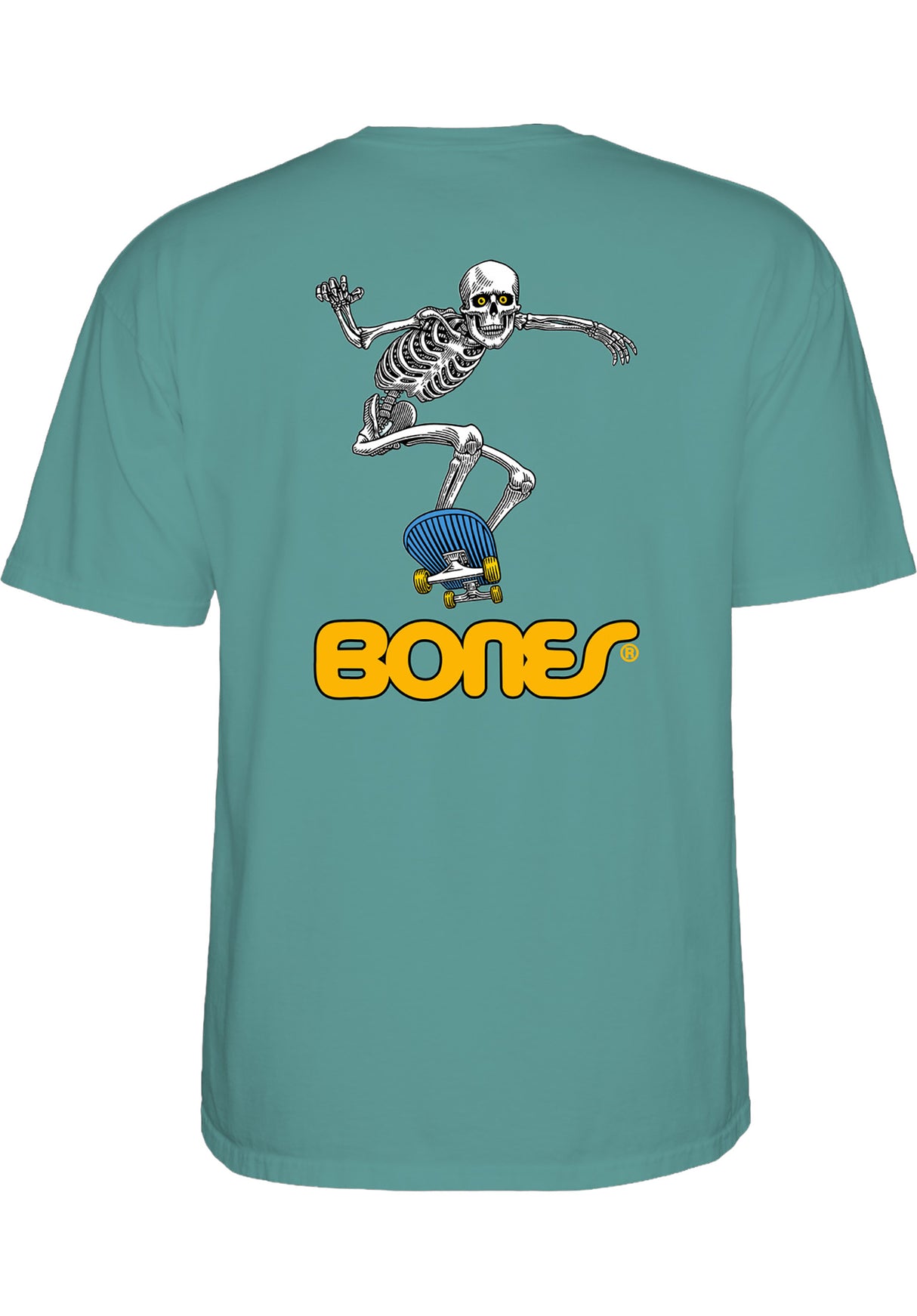 Skateboard Skeleton II aquatic Rueckenansicht