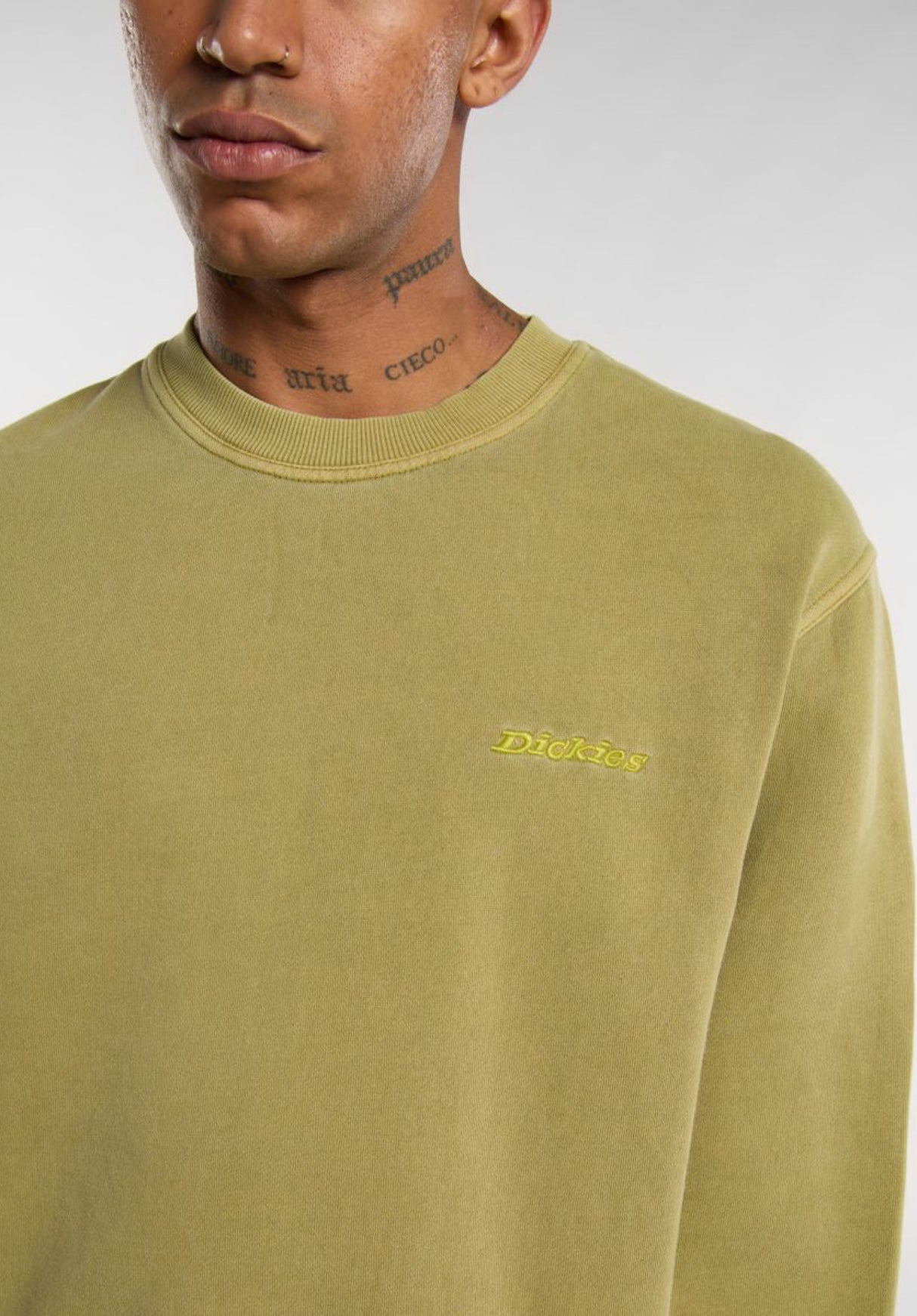 Plentywood evergreensprig Closeup1