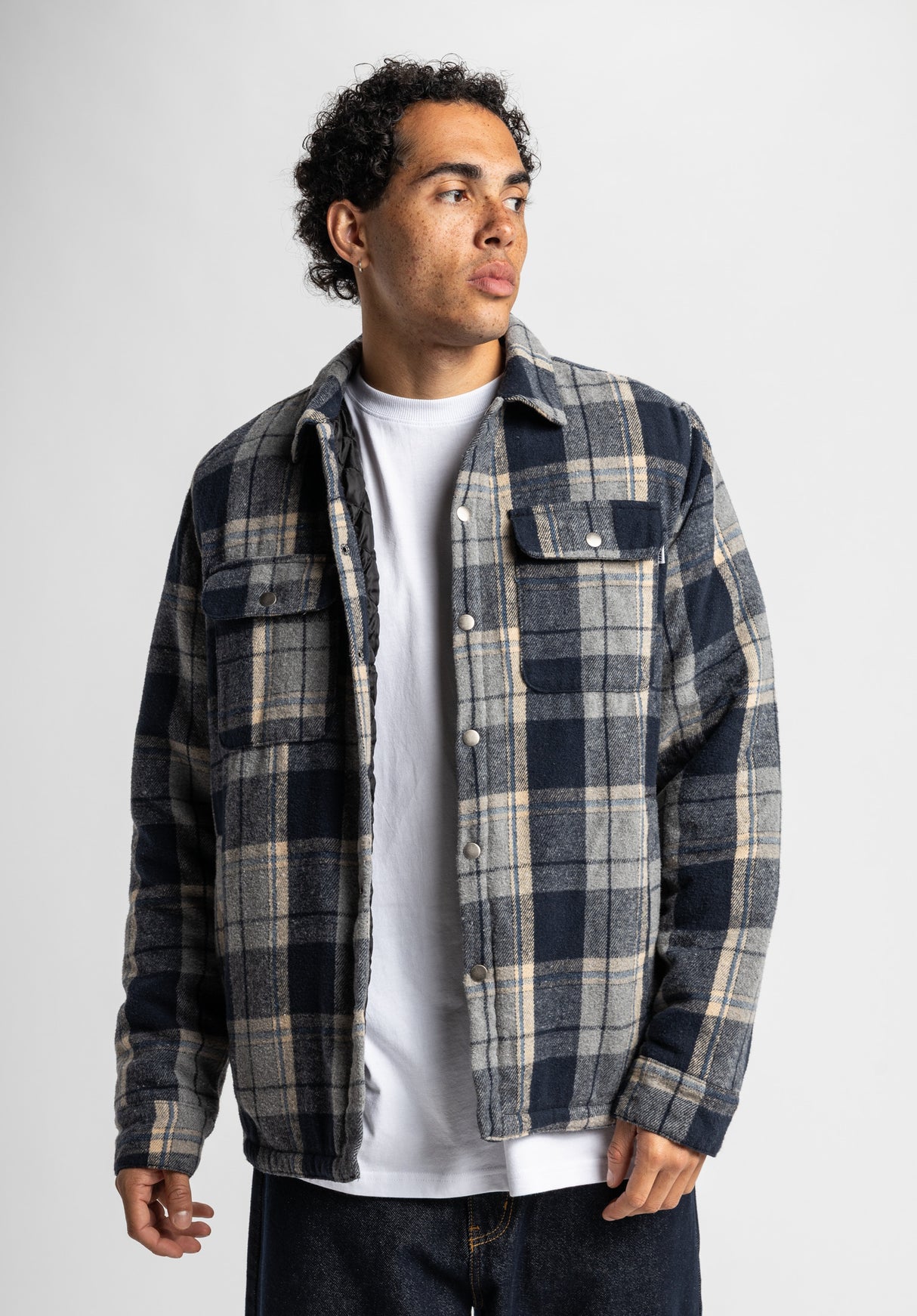 Thage blue-checked Closeup1