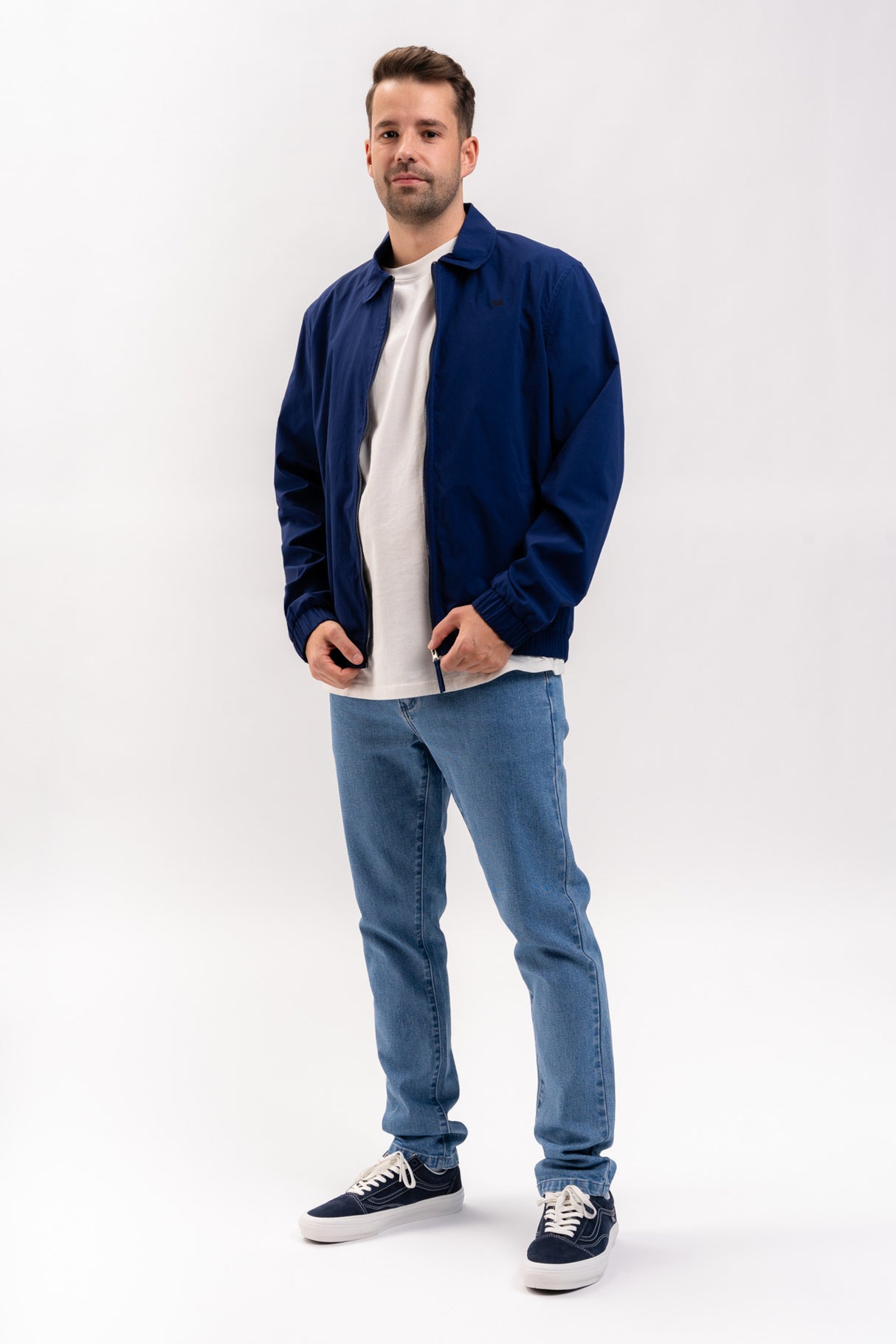 Echis steelblue Closeup2