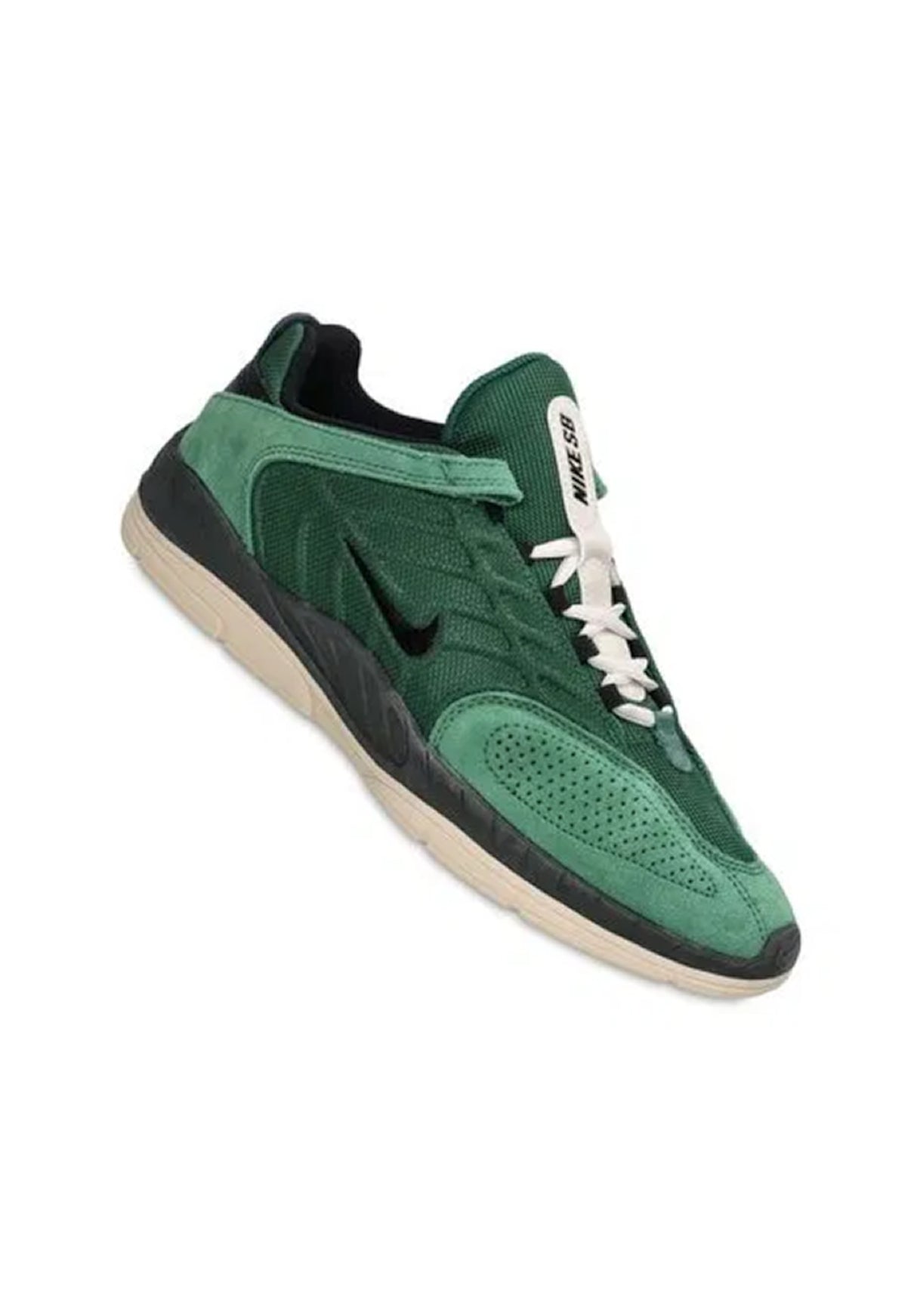 Vertebrae fir-black-sequoia-ltorewoodbrn Rueckenansicht