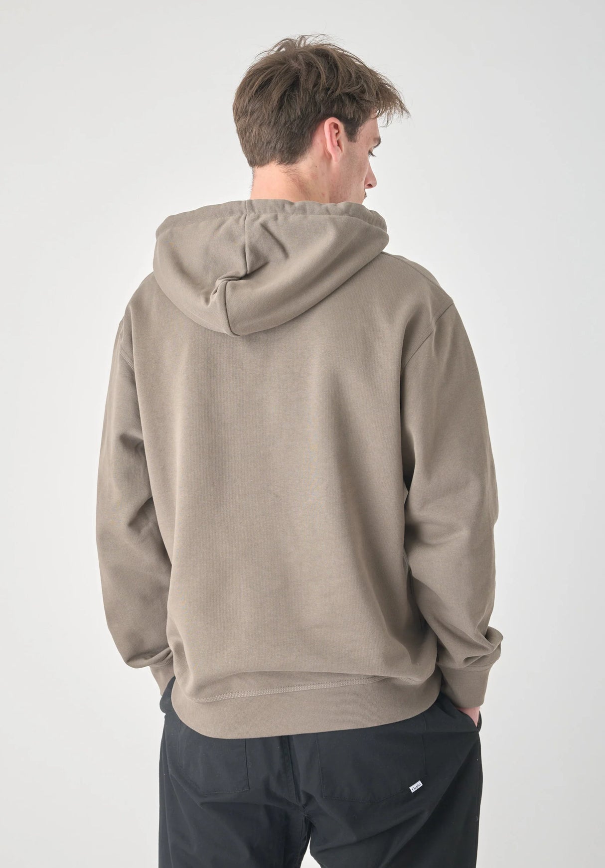 Sketch Gull bungeecord Rueckenansicht