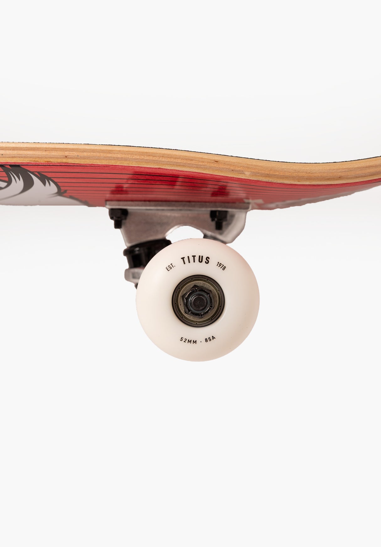 Blackbird Owl Mini black-red-white Closeup2