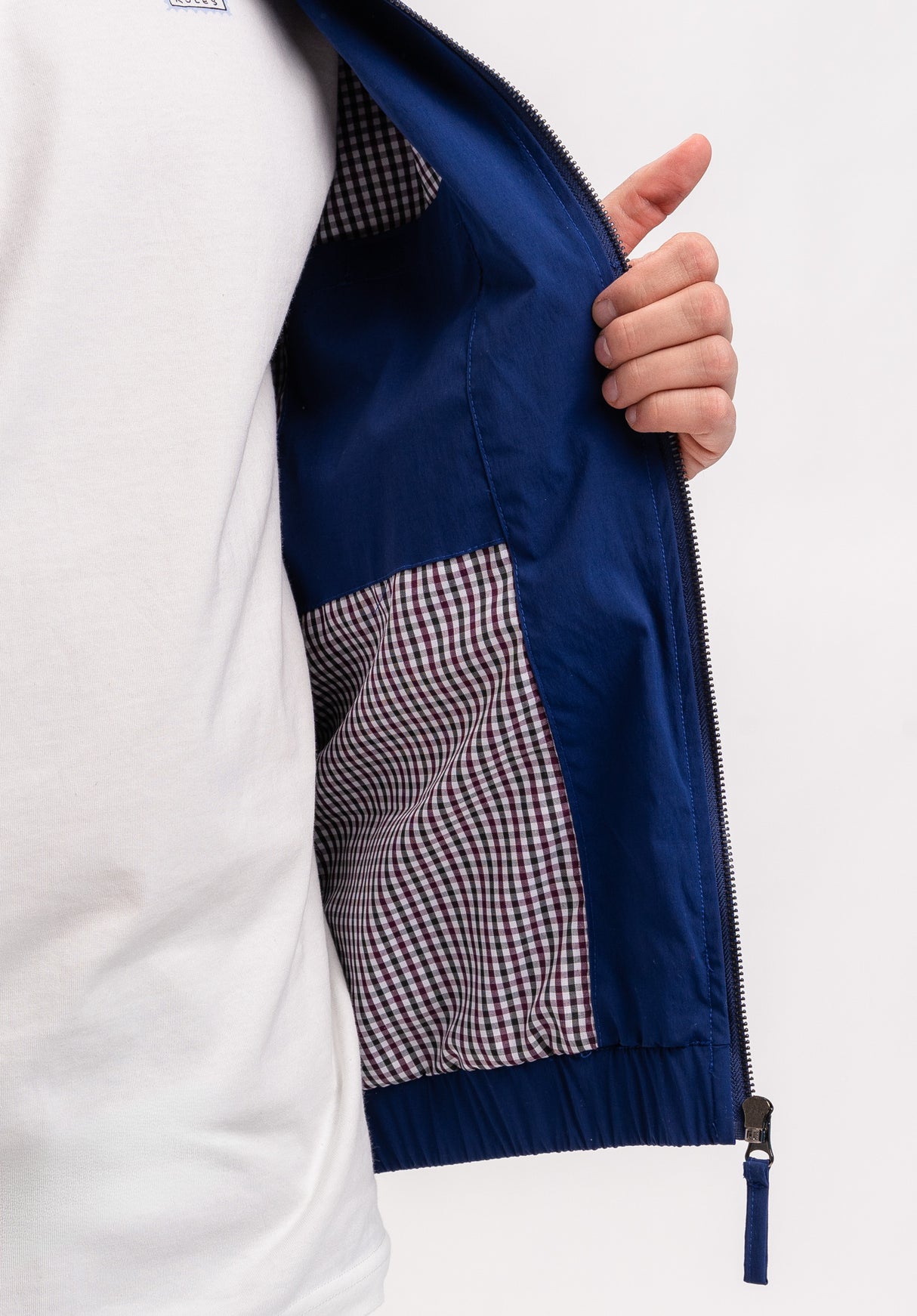 Echis steelblue Closeup1