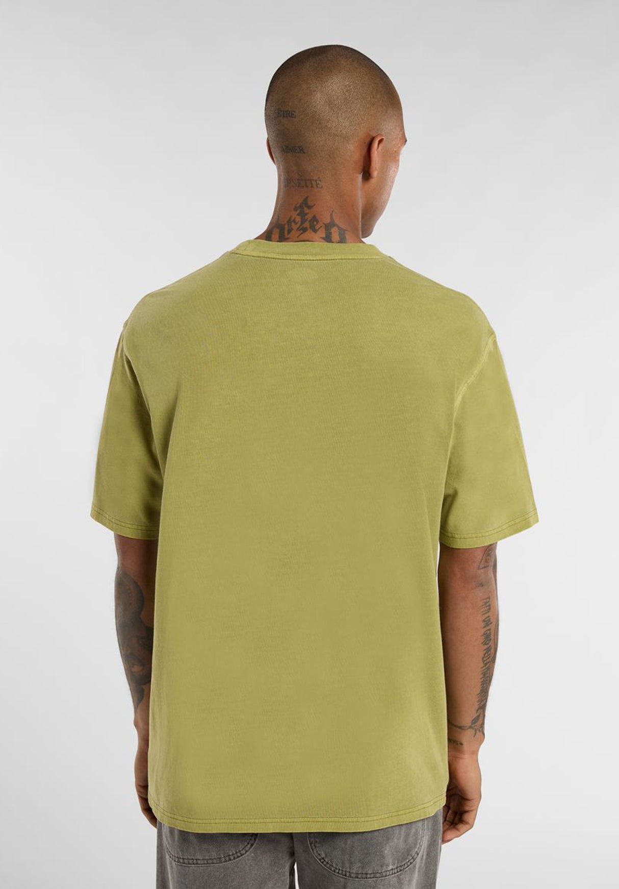 Plentywood evergreensprig Rueckenansicht