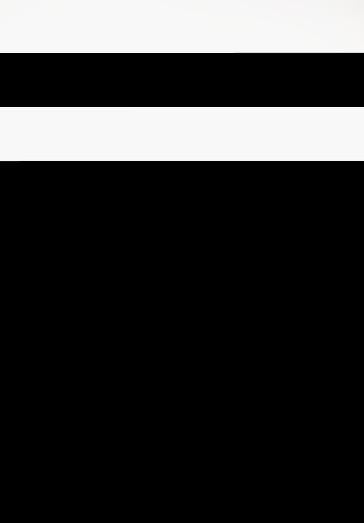 Zoom Janoski OG+ summitwhite-black-summitwhite-white Oberansicht