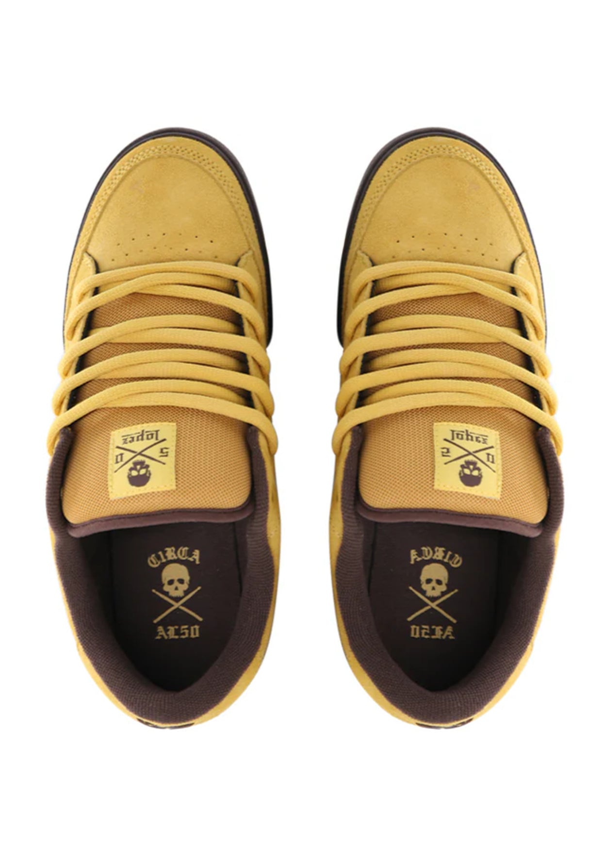 Lopez 50 sunset-pinecone Closeup2