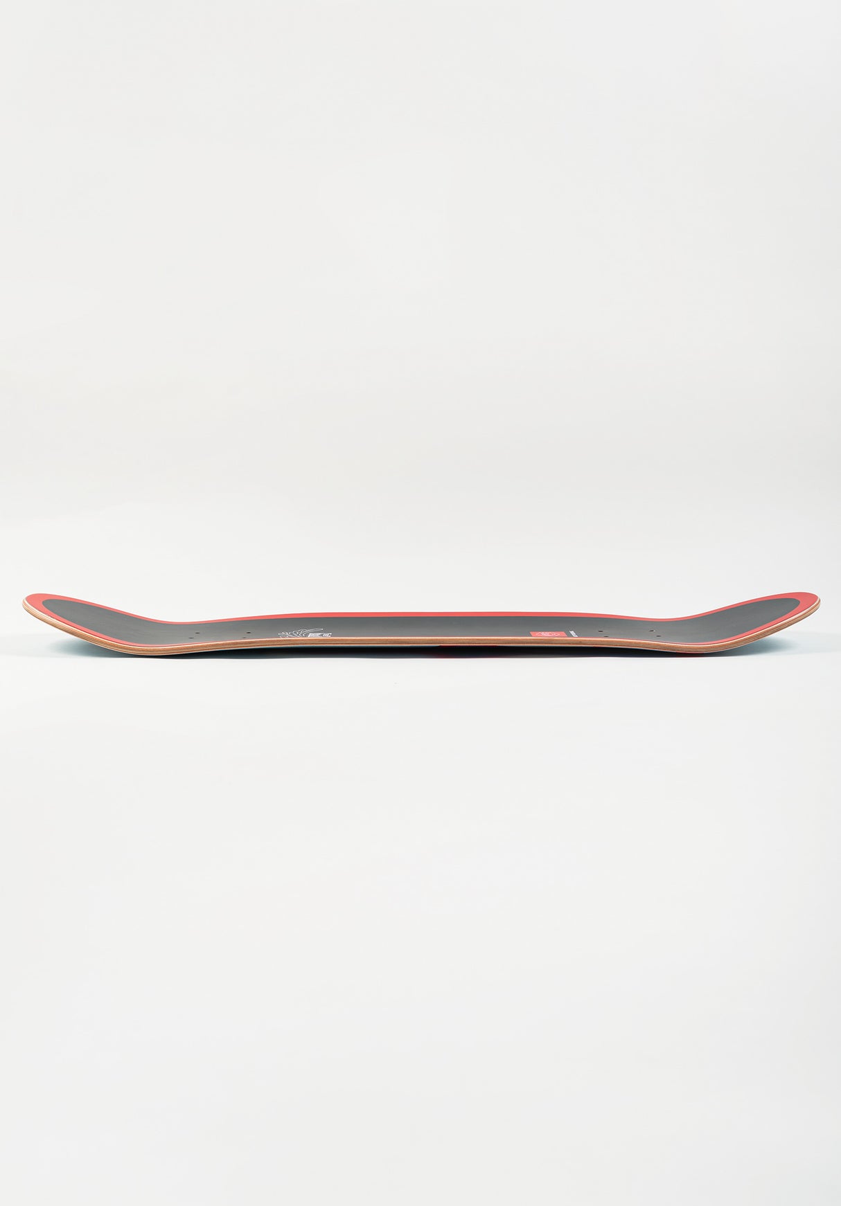 Big Logo T-Fiber 5lim orange Closeup1