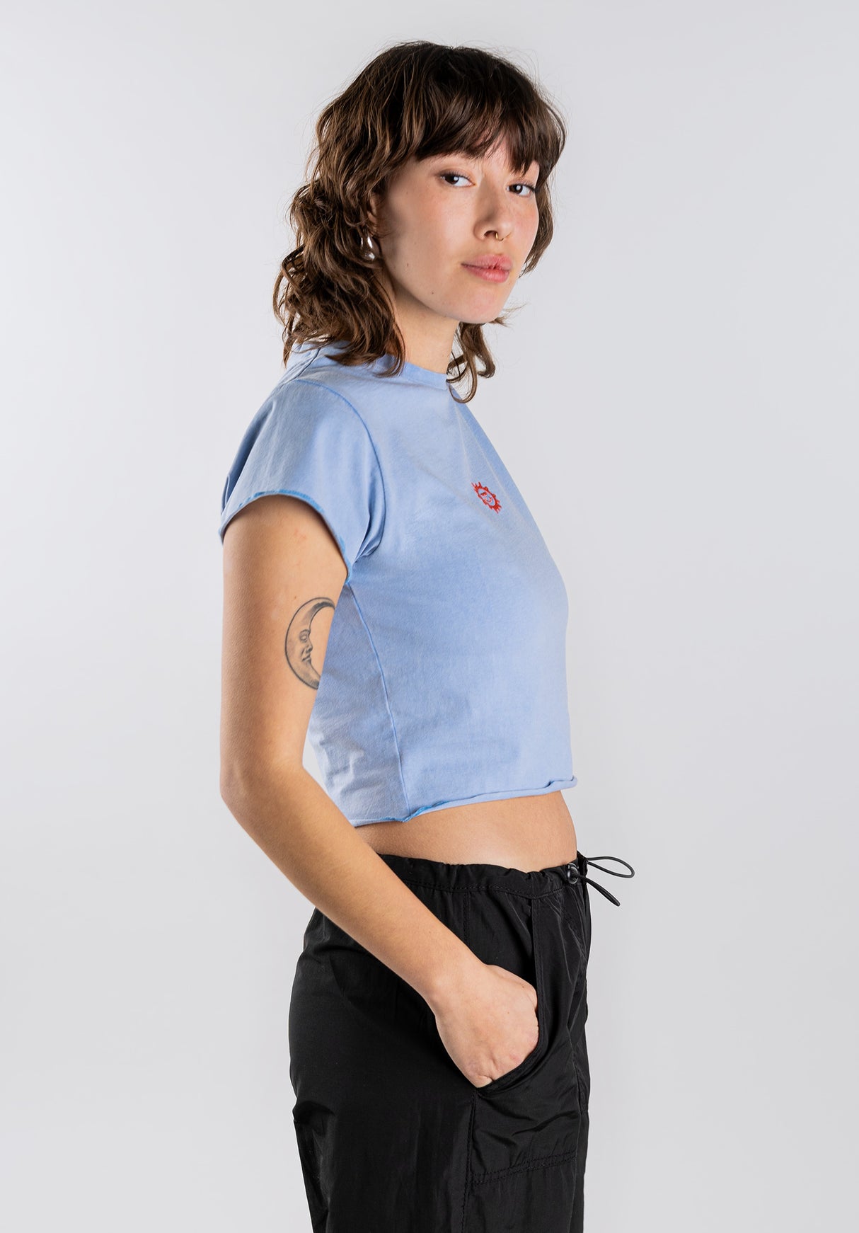 Dacia hortensiafaded Closeup2