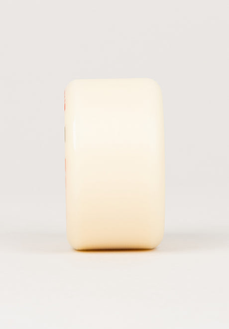 Dragon Formula G-Bones 93A offwhite Close-Up1