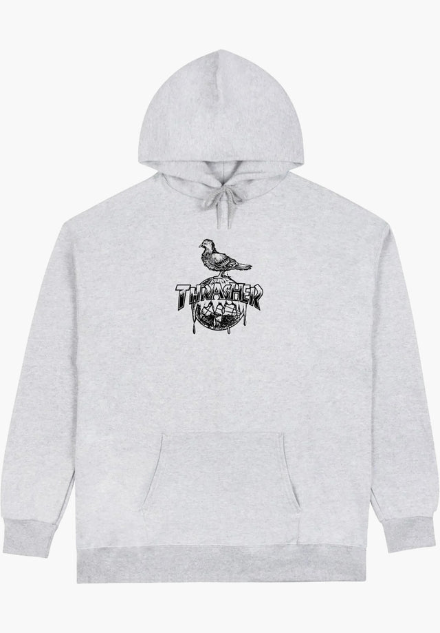 x Antihero Cover The Earth ash-grey Vorderansicht