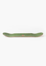 Porifera green Closeup1