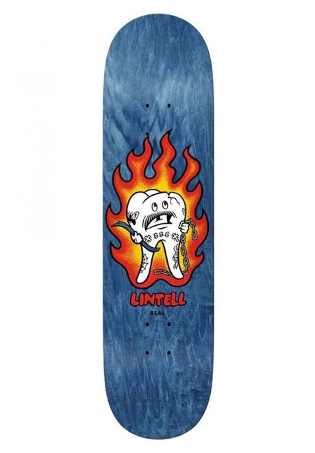 Lintell Mascot assorted Vorderansicht