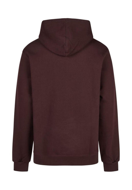 iriedaily Smokin Van Felpa con cappuccio aubergine – Vista posteriore