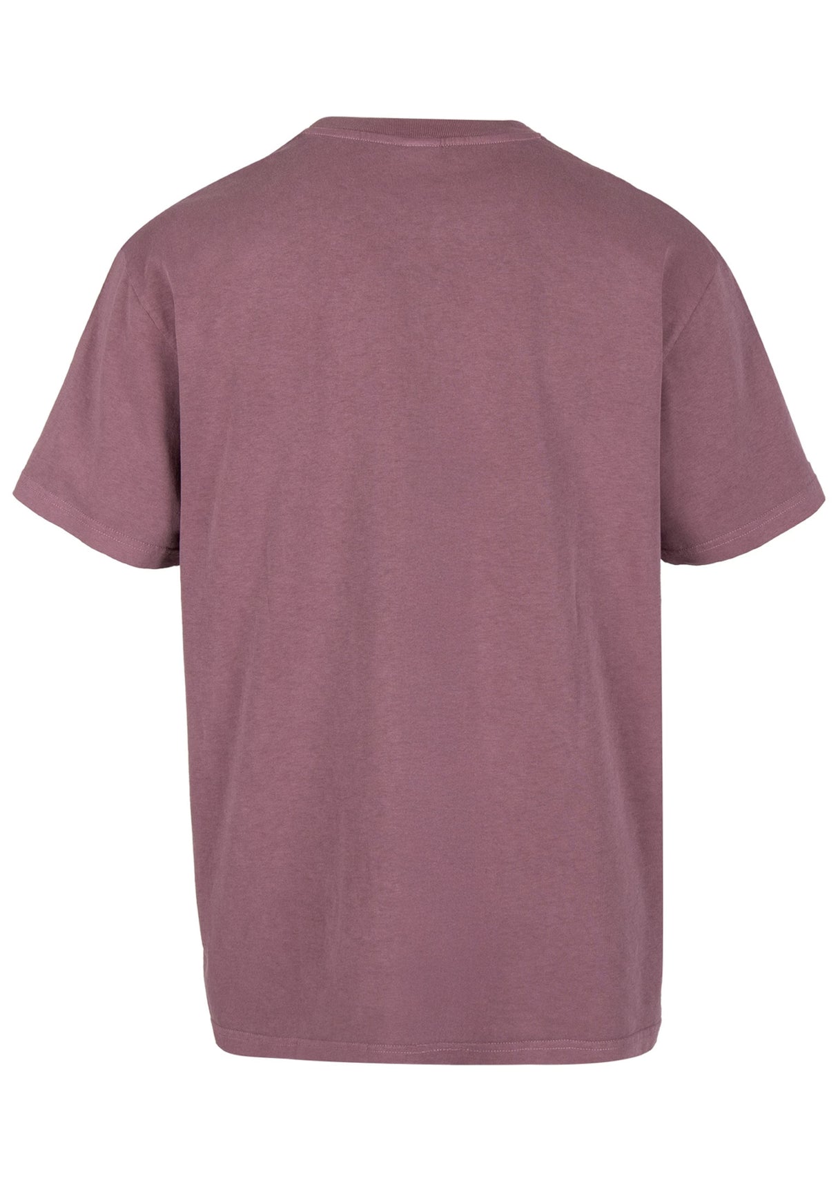 iriedaily Waterdeeper 2 T-shirt darkberry – Vue de dos