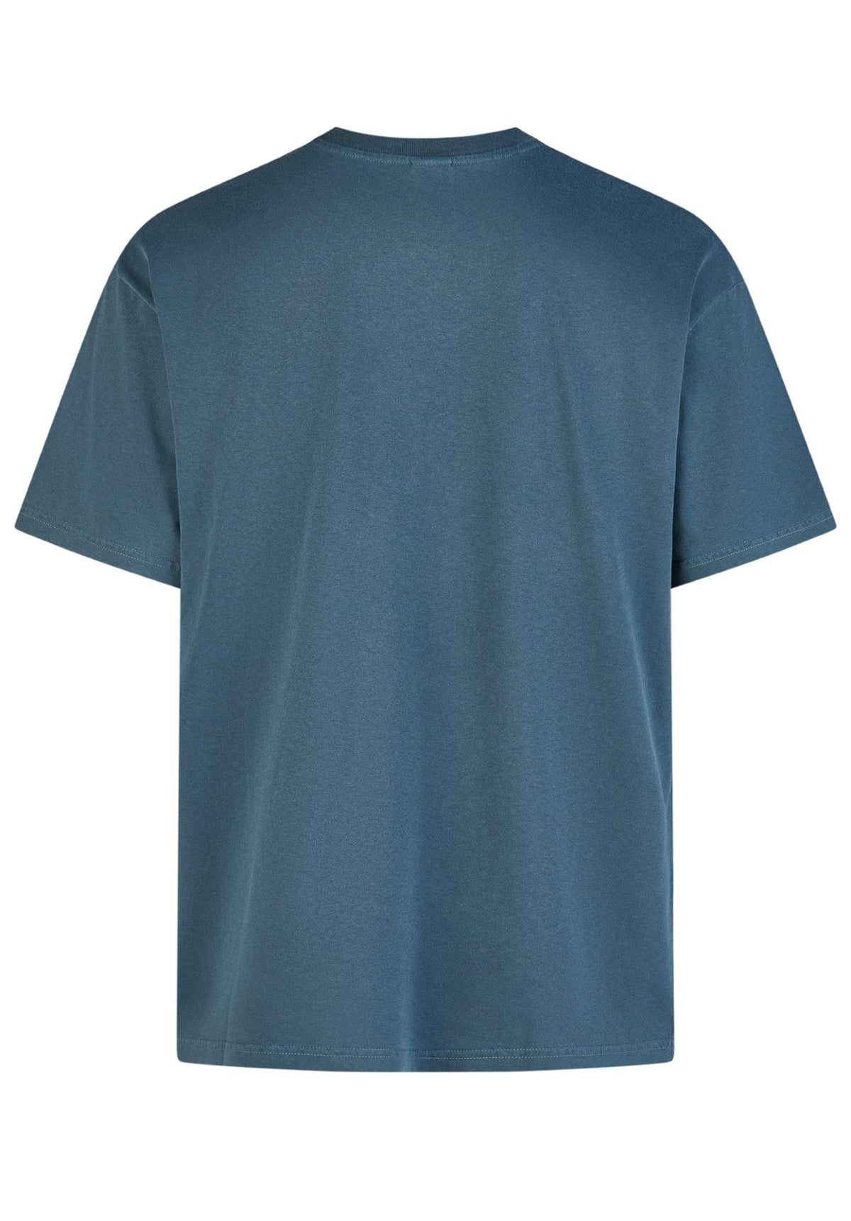 iriedaily Waterdeeper 2 T-Shirt darkorion – Set bagfra