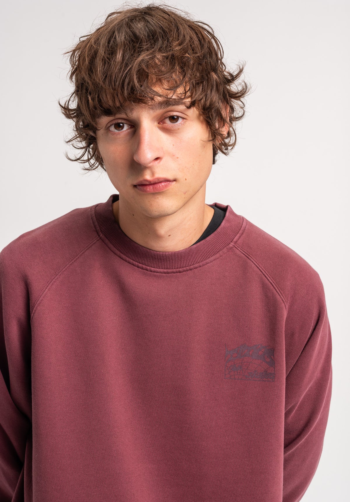 TITUS Heritage Clean Sweatshirt darkolivefaded – Detaljevisning 1