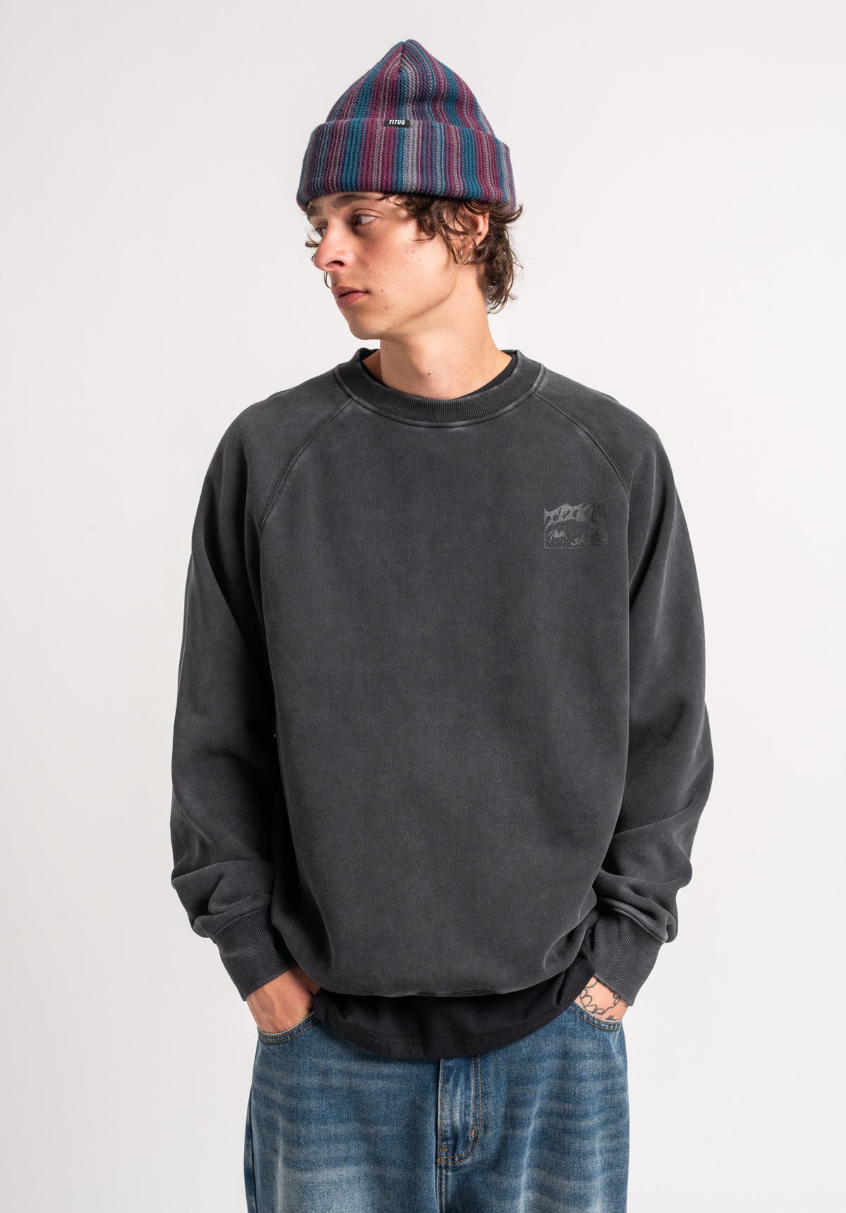 TITUS Heritage Clean Sweatshirt berryfaded – Back view