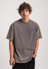 TITUS Zoya T-Shirt greybluefaded – Set bagfra