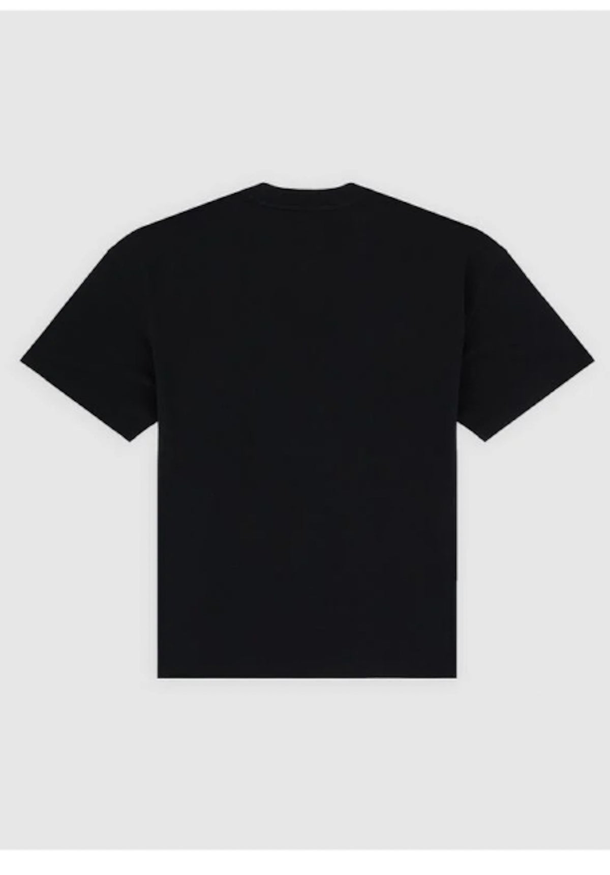 Dickies Irondale T-Shirt black – Set bagfra