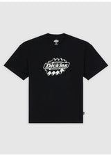 Dickies Irondale T-Shirt black – Set forfra