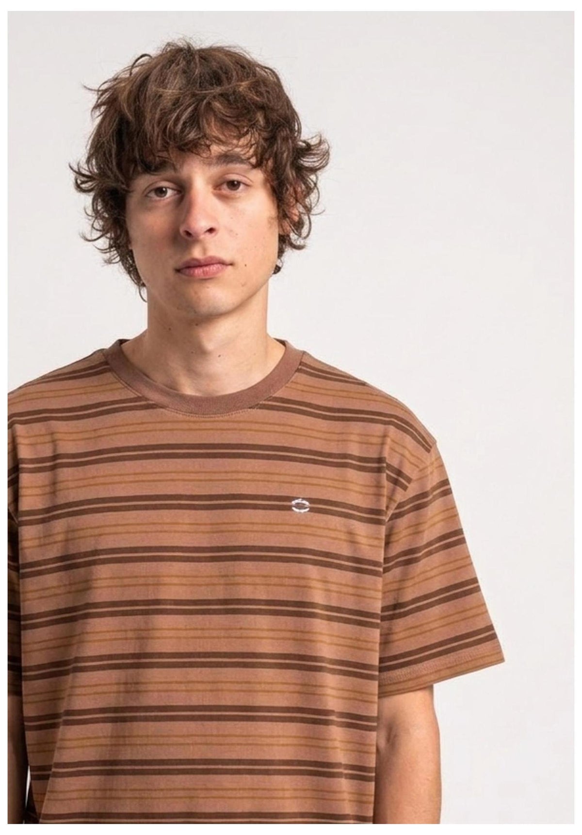 TITUS Icon Stripes T-shirt darkbrown-striped – Vista posteriore