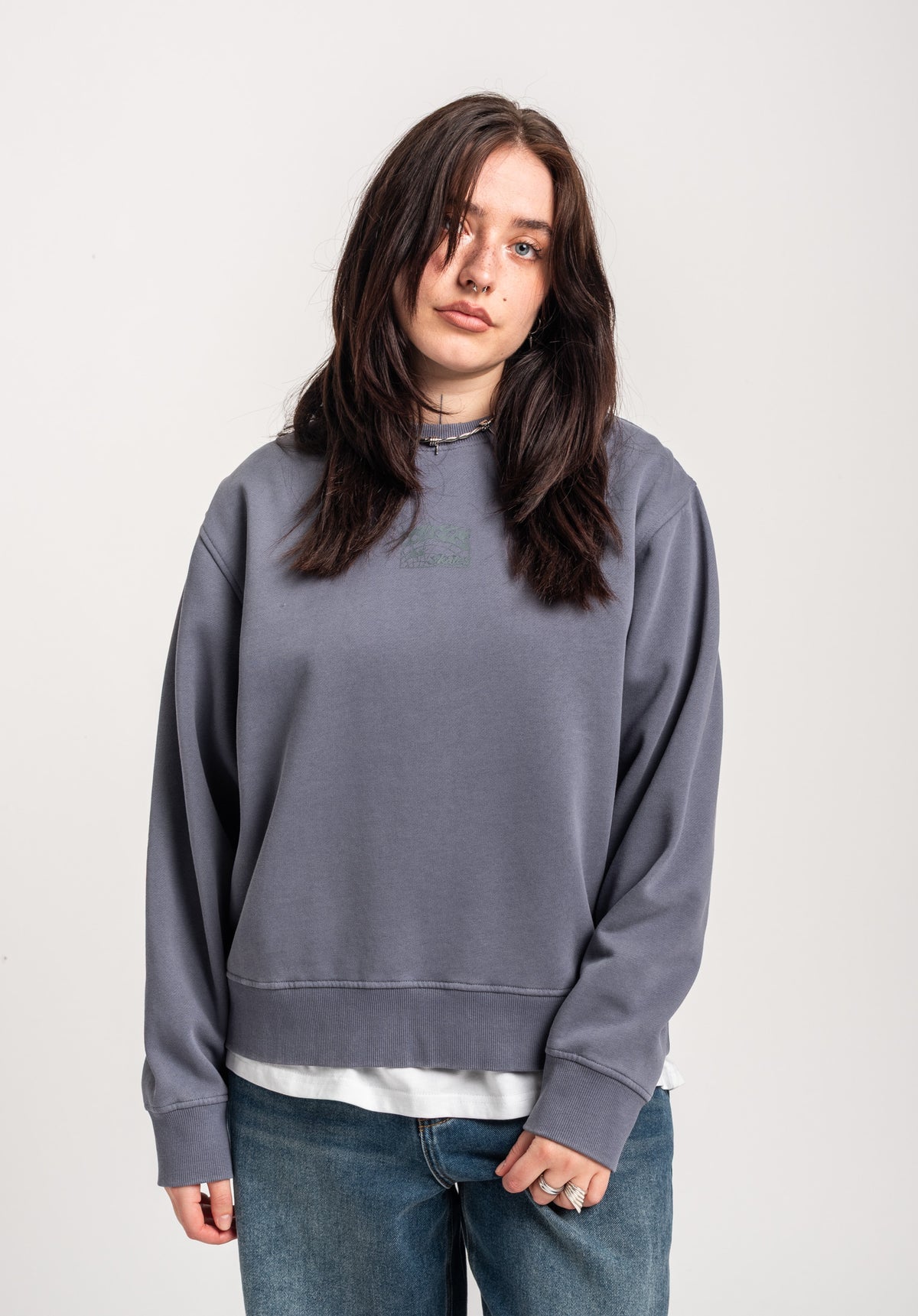 TITUS W Heritage Clean Sweatshirt greybluefaded – Back view