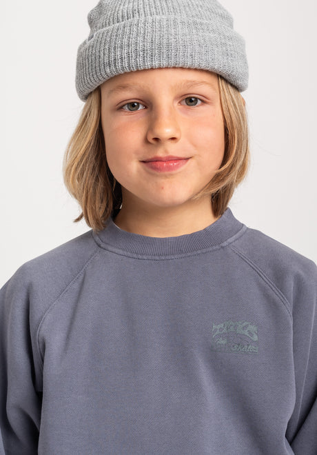 TITUS Heritage Clean Kids Sweatshirt greybluefaded – Detail view 1