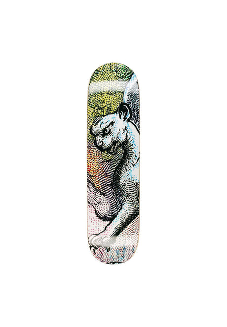 GX1000 Hail Storm "Carlyle" Deck multicolored – Front view