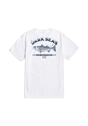 Striped Bass white Vorderansicht