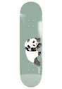 New Pro Collage Panda R7 grey Vorderansicht