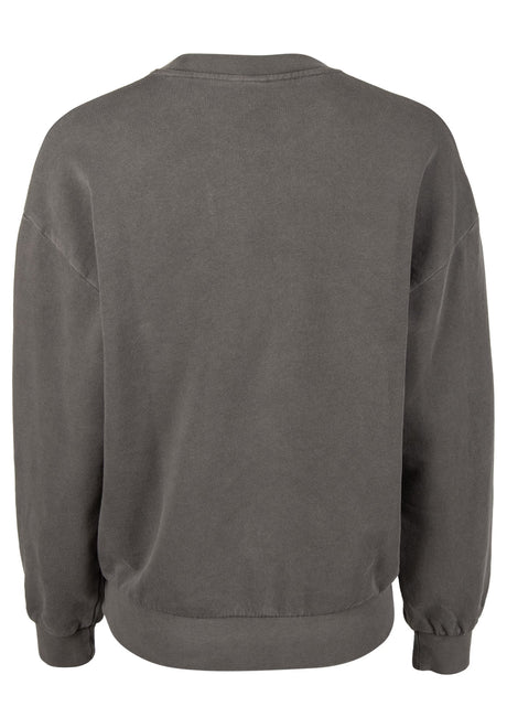 iriedaily Vancy Vint Crewneck Sweatshirt offblack – Back view