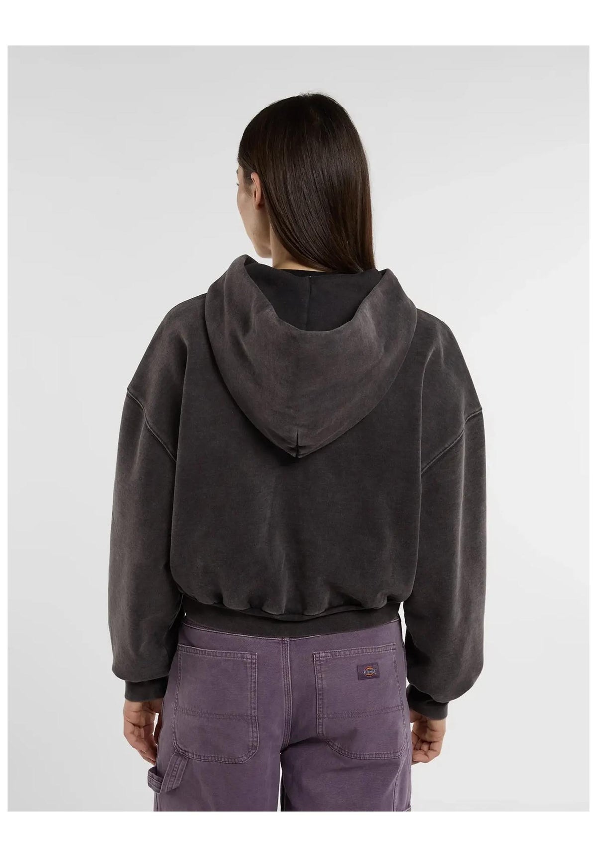 Dickies Baker Zipped Hoodie Zip-Hoodie black – Back view
