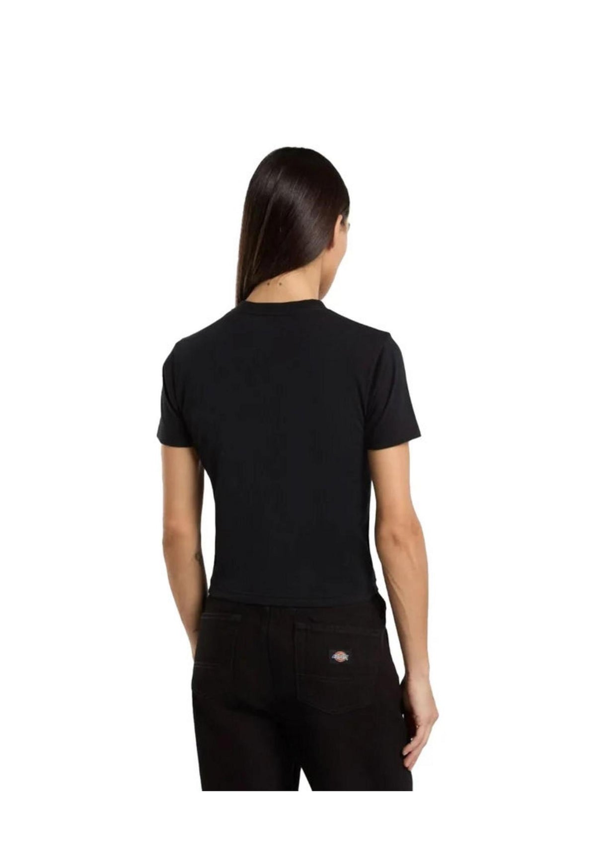 Dickies Maple Valley Reg T-shirt black – Vista posteriore