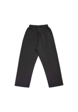 Santa-Cruz Groovy Stack Sweatpant charcoalwash – Back view