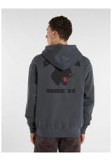 Dickies Mcdermitt Hoodie charcoal – Back view