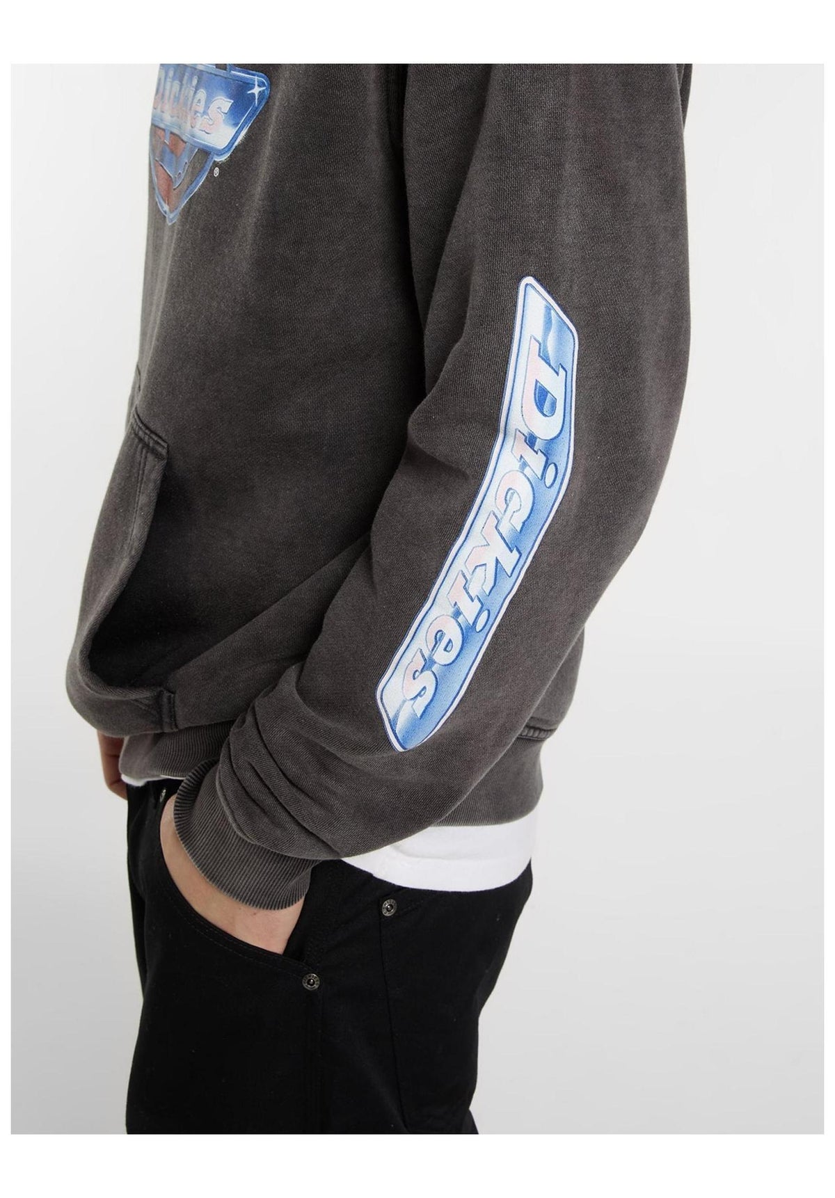 Dickies Coolidge Hoodie black – Detail view 1