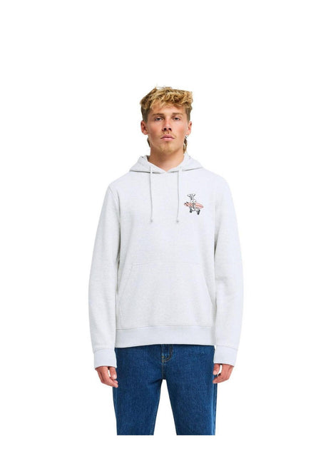 Billabong Foundation PO Hoodie lightgrey-heather – Back view