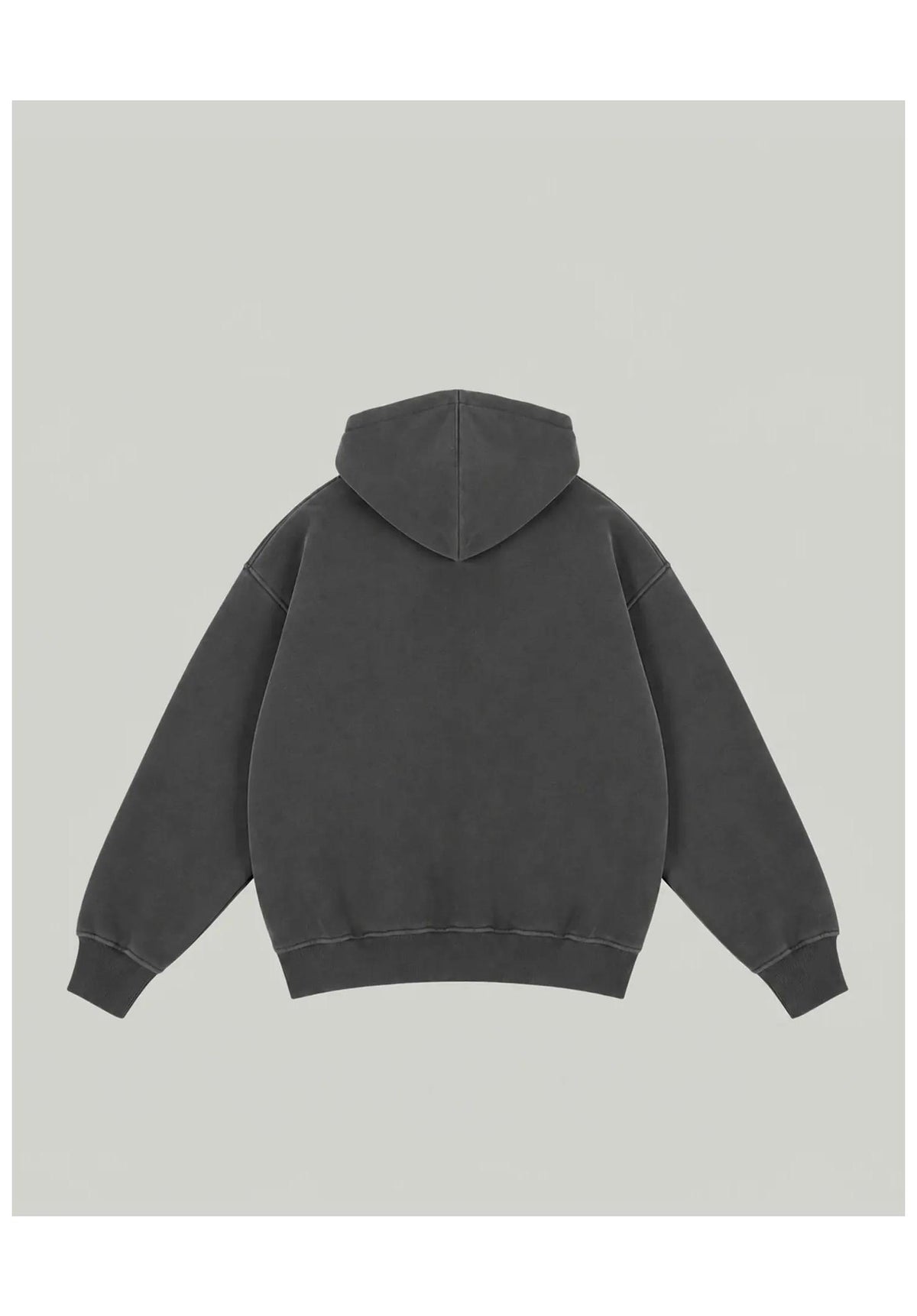 Homeboy Shy Logo Hood Sudadera grey-washed – Vista trasera